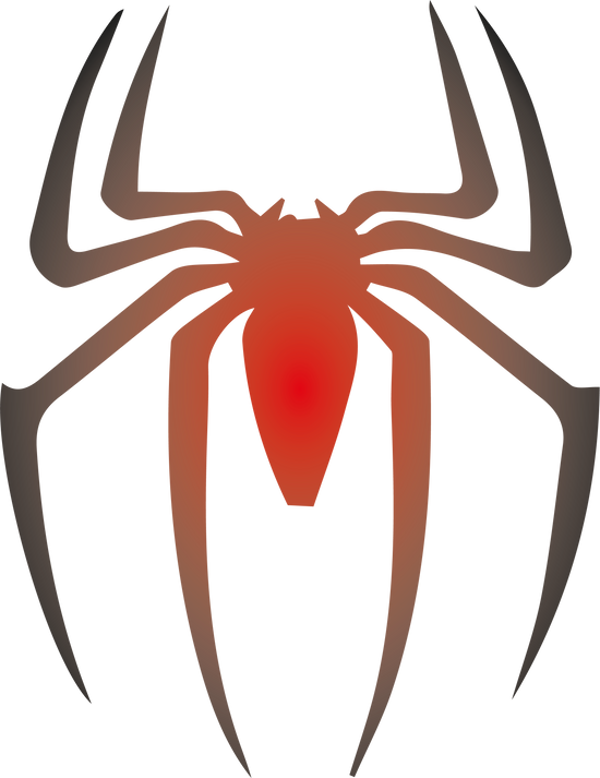 Cartoon Spider Illustration